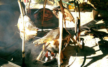 saran-na-rasljama.jpg